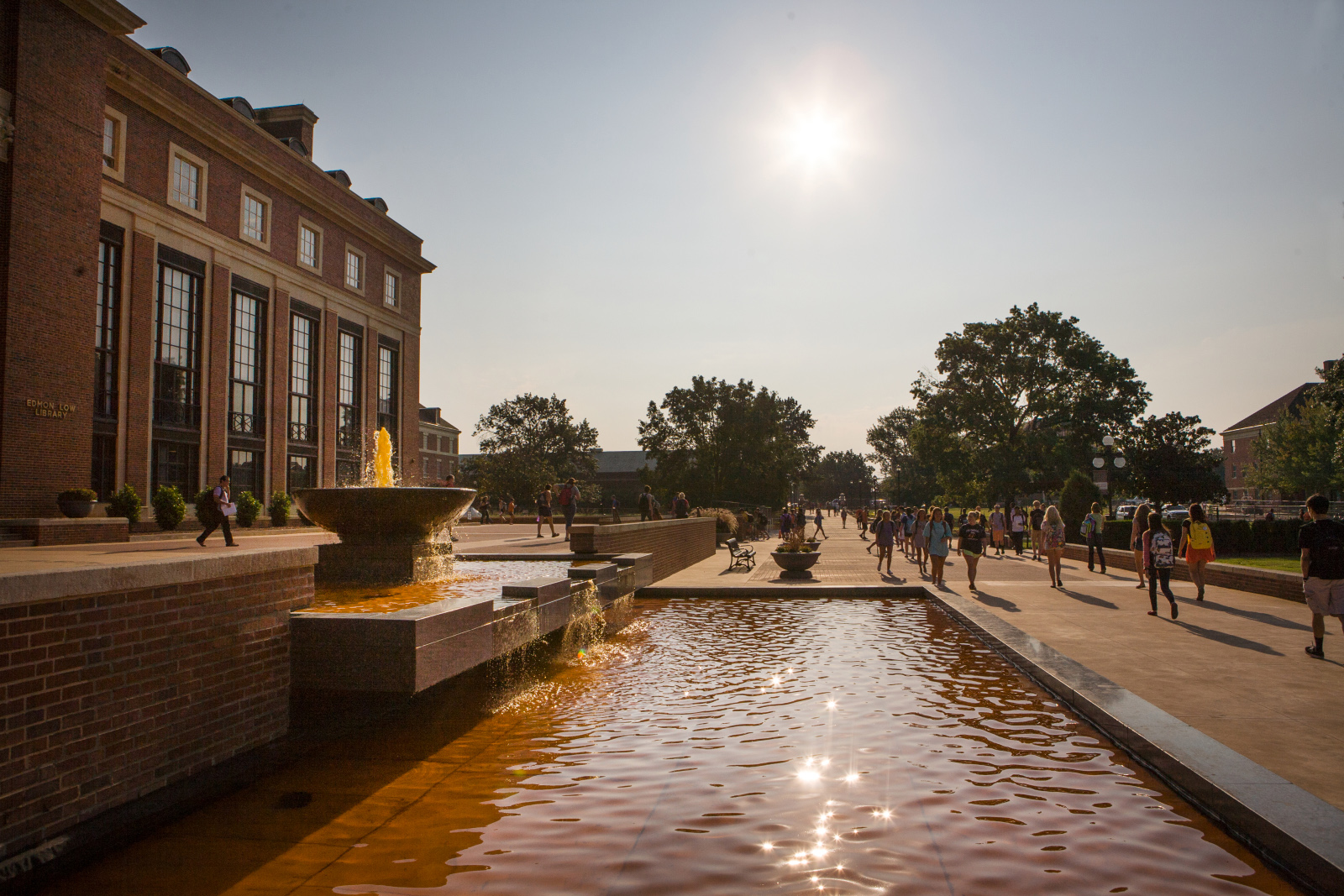 Edmon Low throught fall leaves