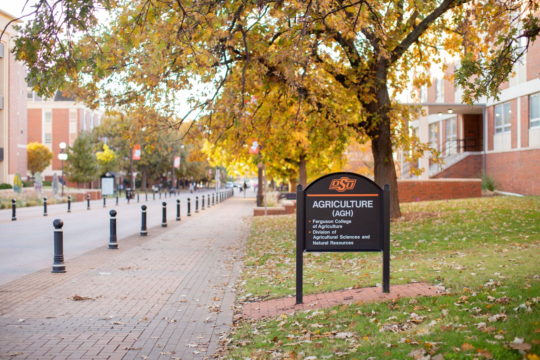 DASNR VP Dean Search | Oklahoma State University